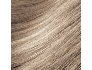MONTIBELLO DENUEE naturalna farba do włosów bez amoniaku 60 ml | 10.13 - image 2